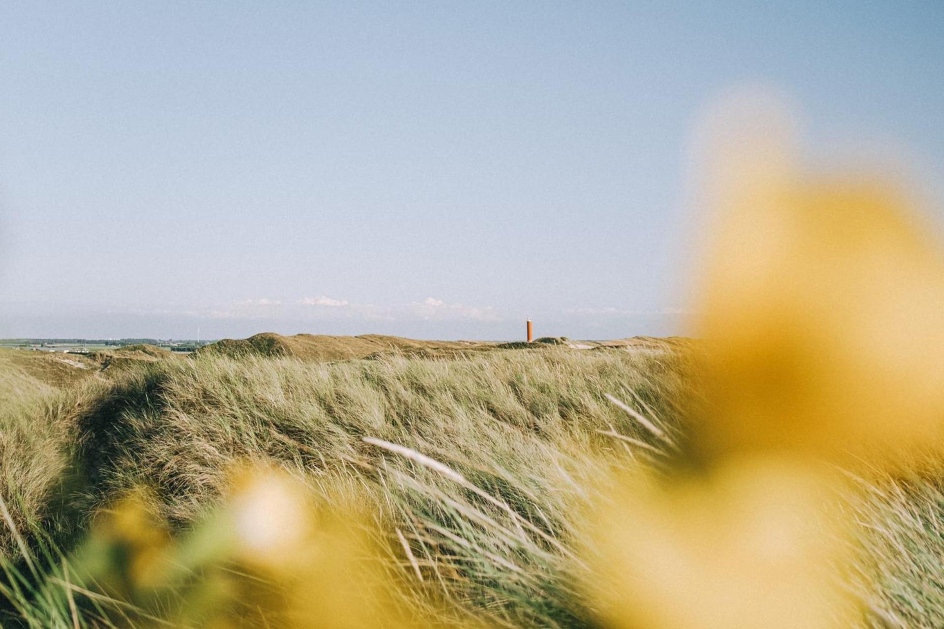 Vakantiehuis Zilt - Julianadorp Aan Zee 外观 照片