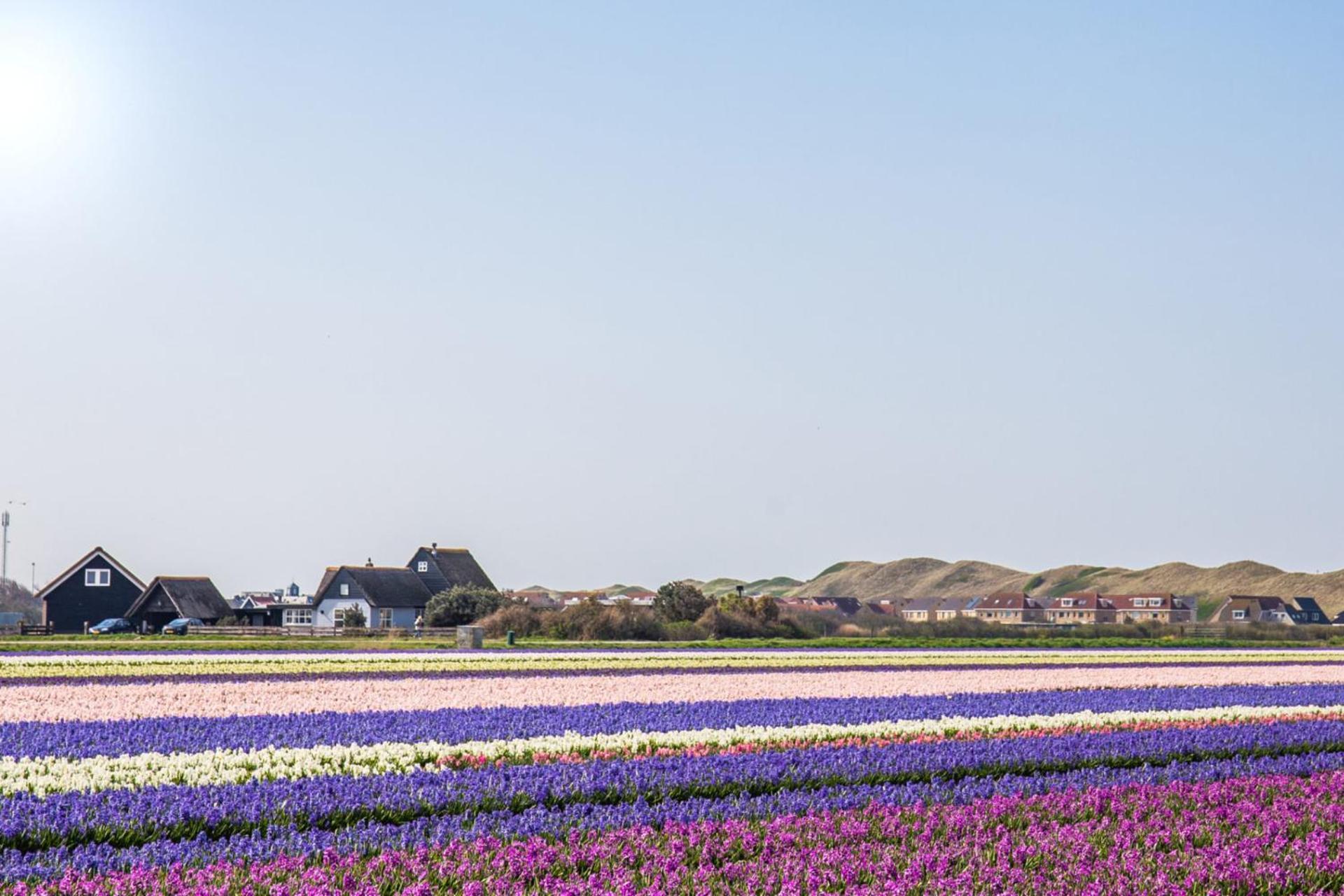 Vakantiehuis Zilt - Julianadorp Aan Zee 外观 照片